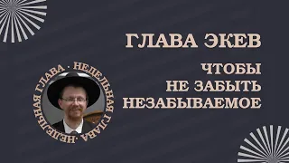 🧐💭 Чтобы не забыть незабываемое. Недельная глава Экев | Рав Довид Хаим Ташкер