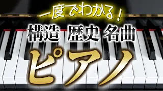 【楽器解説】ピアノの構造・歴史・名曲…スタインウェイやベヒシュタイン、ベーゼンドルファーなどピアノメーカーやホロヴィッツやアルゲリッチなど超一流演奏家まで