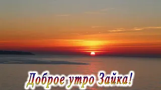 Доброе утро Зайка 4