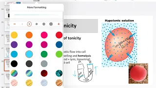 08 Tonicity