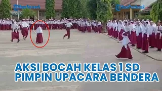 Aksi Bocah Perempuan Kelas 1 SD Pimpin Upacara Bendera di Sekolah, Keberaniannya Tuai Pujian