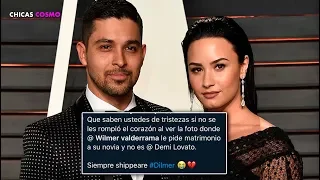 FANS de DEMI LOVATO ATACAN a WILMER VALDERRAMA por ESTA RAZÓN