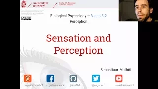 Sensation and Perception | Biological Psychology 3.2