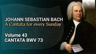 J.S. Bach: The Church Cantatas, Vol. 43: Herr, wie du willt, so schick's mit mir, BWV 73