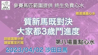 港經佬賽馬貼士及分析｜第八場參賽馬匹資料｜02-04-2023 沙田十場日馬田草賽事｜免費心水及賽馬貼士｜全方位博彩及投資頻道｜足球｜賽馬｜股票｜樓市 #賽馬貼士