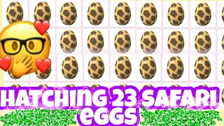 Hatching 23 Safari Eggs In Adopt Me