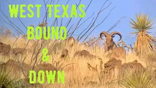 Trophy Quest Outdoors - West Texas Aoudad 2022