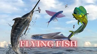 🌊 FLYING FISH | OCEAN WORLD ENGLISH SONG 🎶 | FUN & EDUCATIONAL CHILDREN'S SONG | Part 4