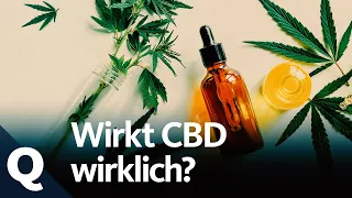 CBD: Lifestyleprodukt oder Allheilmittel? | Quarks