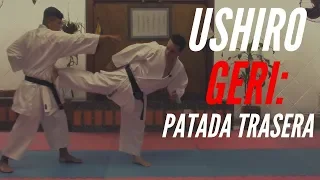 👍EXPLICADA AL DETALLE👌 patada USHIRO geri