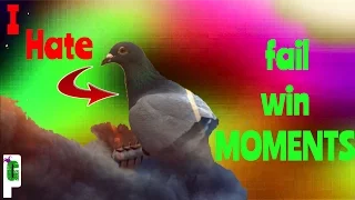 BF1 Pigeon Rage (Fail Win)