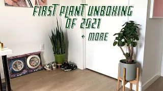 First Plant Unboxing | Plant Mail of 2021