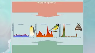 Динамические характеристики популяции. Биология для школьников