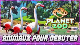 10 ANIMAUX POUR DÉBUTANTS ✦ Planet Zoo Franchise