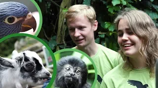 DYREUNGER I JUNGLE-ZOO med Jenny og Benjamin