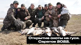 Охота на гуся в Саратове 2022