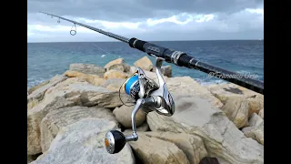 Tailwalk Salty Shape Dash Seabassgame 86MH spinning rod ► Recensione