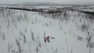 Плато Путорана весна (Putorana Plateau, spring) dj mavic mini video