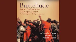 Wacht! Euch zum Streit, BuxWV 129, "Das jüngste Gericht": Actus I: Sonata