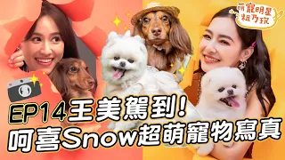 【ENGSUB】EP14 王美駕到！呵喜 Snow 超萌寵物寫真開拍啦！ 王思佳 Sandy 爆破效果初體驗！【 萌寵明星粗乃玩 】@haveapetday @pinksophia0818