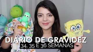 Último diário da gravidez! 34, 35 e 36 semanas | Lia Camargo