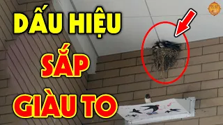 BẠN SẮP GIÀU TO Nếu Phát Hiện 5 Dấu Hiệu Này Trong Nhà, Tiền Vàng Kéo Vào Như Nước Đếm Mỏi Tay