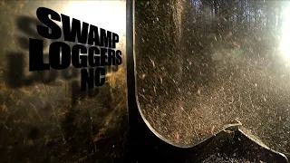 SWAMP LOGGERS NC  "No Relief in Sight."