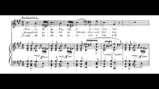 Modest Mussorgsky - Songs and Dances of Death for Soprano and Piano (1870's) [Score-Video]