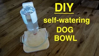 DIY ● Self Filling Water Bowl for Your DOG / CAT  ( that works ! )