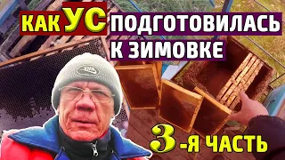 Пасека в ноябре  Подготовка УС  к зимовке Сборка гнезд #3