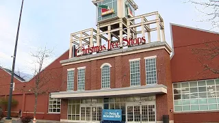 'I'm destroyed': Customers react to Christmas Tree Shops bankruptcy report