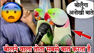 बोलने वाला तोता सबसे बात करता हैं 😨 #bolnewalatota #talkingparrot #petslover #animallover #pet #bird