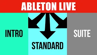 Welche Ableton Live Version kaufen? Intro, Standard, Suite, Lite?