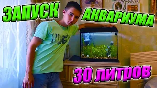 Запуск аквариума 30 литров с растениями и рыбками