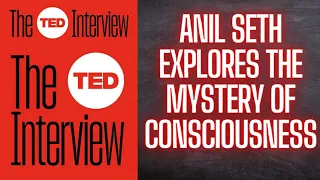 The TED interview Podcast | ༻Anil Seth explores the mystery of consciousness༻❣ #TheTEDinterview❣