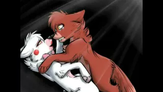 FNAF:: Foxy x Mangle ~ Heart Attack