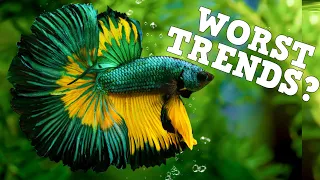 These Trends Are A problem In Fish Keeping