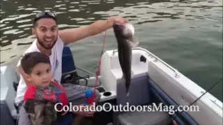 Boy Catches Big Walleye With Toy Fishing Rod