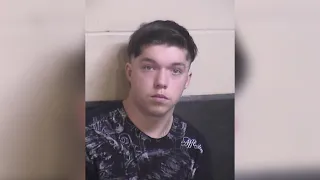 Clovis teen arrested after sex crimes against dog, children, deputies say