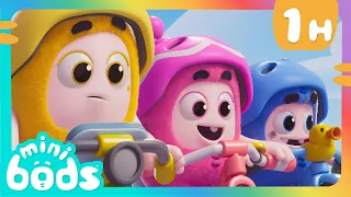 Minibods Bike Race! Pedal Power 🚲 | New Minibods Cartoons🌈 | Moonbug Kids After School