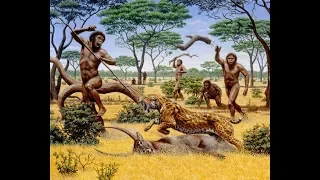 Ape To Man [Evolution Documentary History Channel]