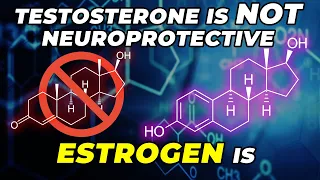 Testosterone Is NOT Neuroprotective, Estrogen Is