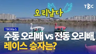 수동 오리배 vs 전동 오리배, 레이스 승자는? 230416ㅣTBC뉴스