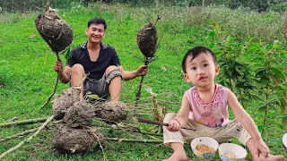 Harvesting, how to get ant eggs. The daily life of a small family