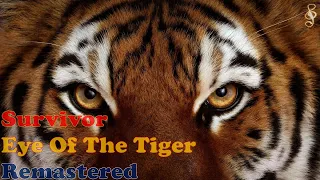 SURVIVOR - EYE OF THE TIGER (Remastered Audio) [4K Video]