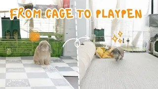 From Cage to Playpen｜2-Month Bunny Home Makeover 🐰🏡