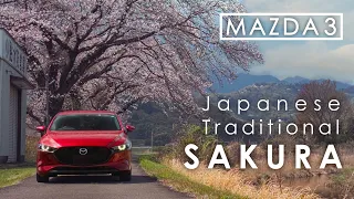 Japanese Cherry blossoms "SAKURA" and my MAZDA3 | 4K | Sony a6600