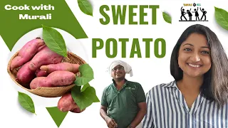Sweet Potato | RascalsDOTcom