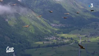 Cap Sud Ouest: Parc National des Pyrénées, un engagement grandeur nature (replay)