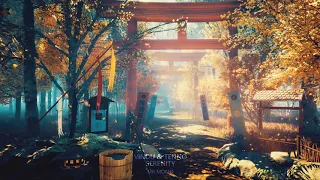 Japanese Lofi Type Music | Serenity By Vindu & Tenno